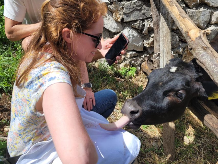 Amalfi: Make tagliatelle, mozzarella and tiramisù - A Cooking Class Set on a Southern Italian Farm
