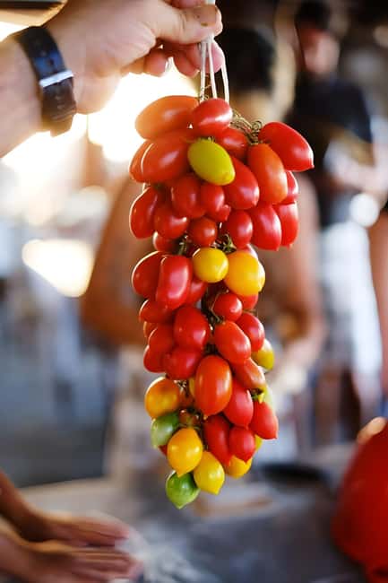 Amalfi: Milk the cows, Make Pasta, Mozzarella and Tiramisù! - The Best Fit for This Farm-to-Table Class