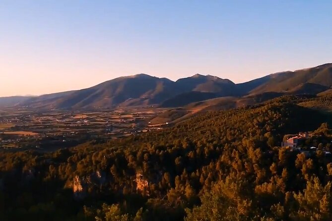 Colorful Tagliatelle & Walnut Ravioli – Home Cooking in Spoleto - Key points to know before booking