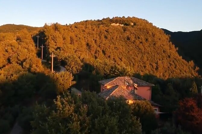 Colorful Tagliatelle & Walnut Ravioli – Home Cooking in Spoleto - Booking timing and cancellation details