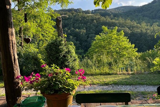 Cooking Class for Pasta Lovers in Florence Country House - From Piazza Lorenzo Ghiberti to the morning market
