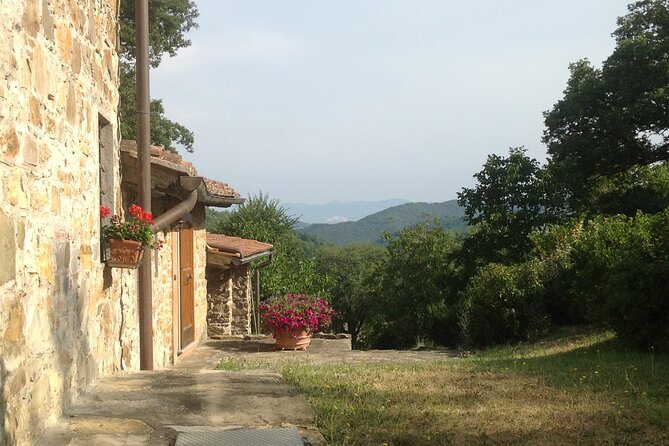 Cooking Class for Pasta Lovers in Florence Country House - Is $258.77 a good value?