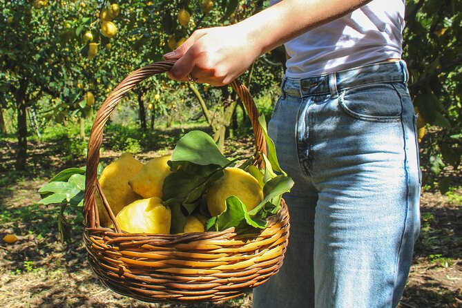 Fresh pasta and Limoncello course in a lemon grove - Key points to know before booking