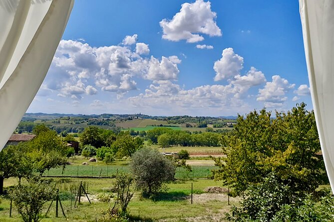 Fresh pasta with a view near Asti – Langhe, Roero, Monferrato - Is $90.02 a fair price?