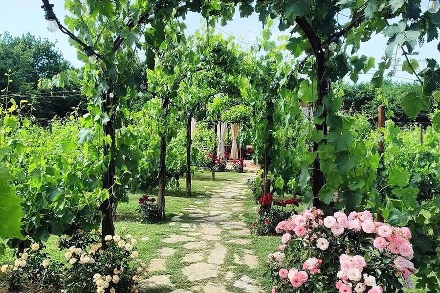 From Livorno: Authentic italian Pasta Cooking Class - From Livorno port to the Tuscan hills