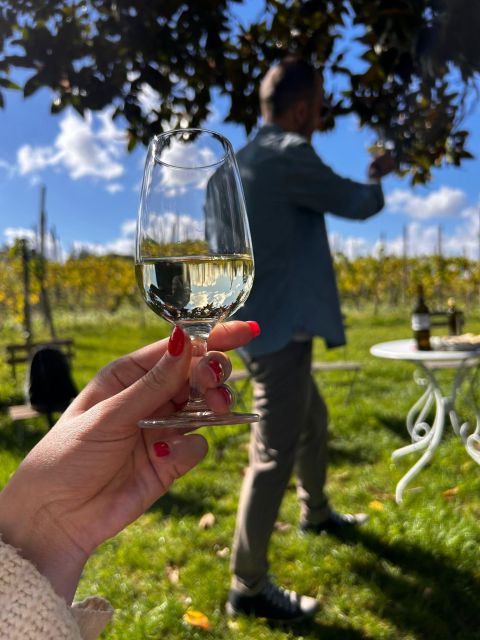 From Rome: Pasta Masterclass & Wine Tour in the Vineyard - A farmhouse lunch made from your work