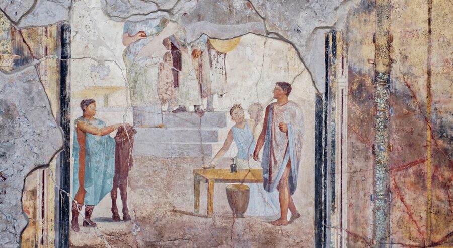 From Rome: Pompei by Bullet Train with Pasta Class & Lunch - Who should book this experience?