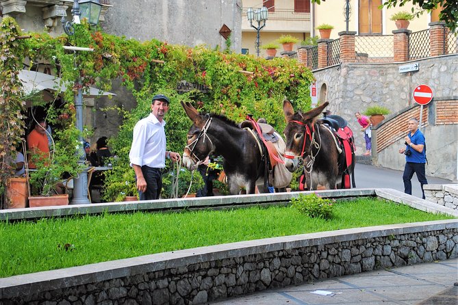 From Taormina: Private/Guided Godfather with appetizer and Pasta - What the $235.19 price includes