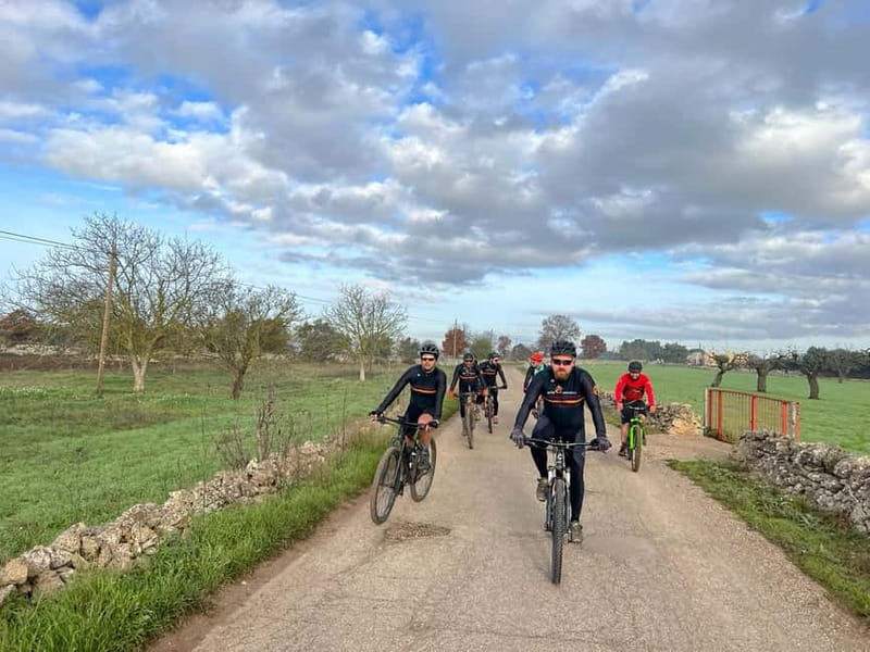 Gioia del Colle: Premium E-Bike & Private Pasta Experience - Riding through vineyards and olive groves