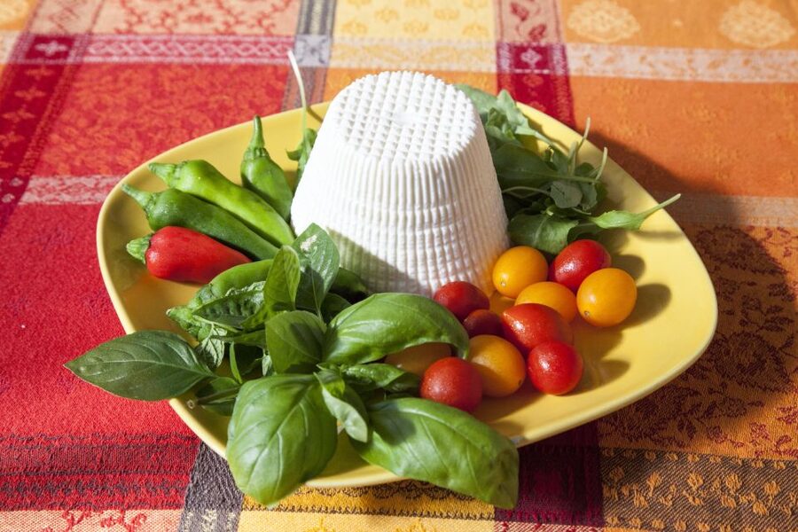 Lecce: Private Pasta-Making Class at a Local's Home - Booking details worth handling early