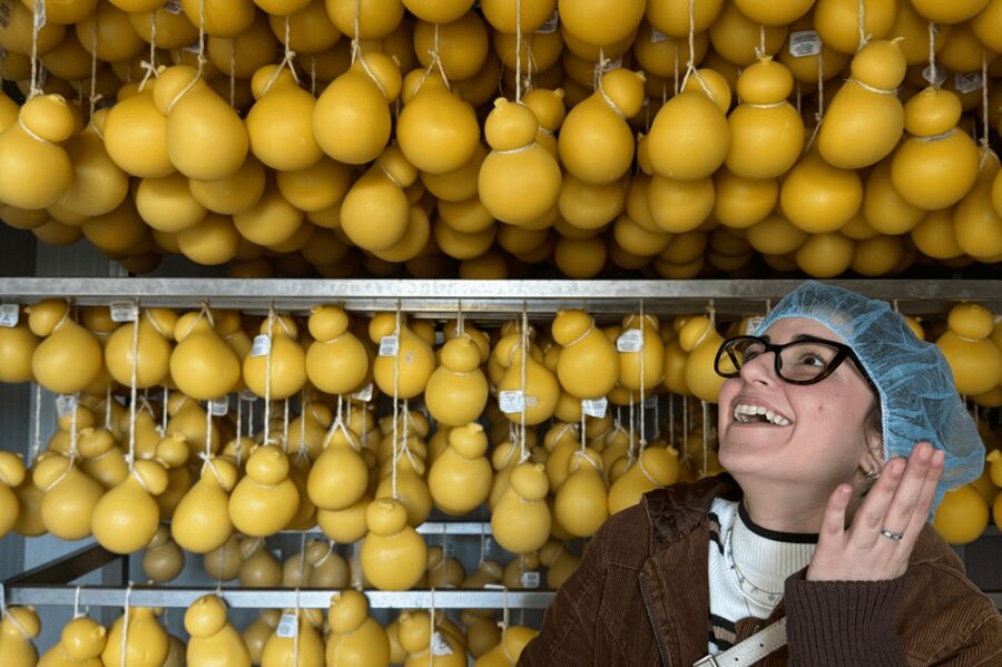 Martina Franca: Mozzarella and Pasta Workshop with Farm Tour - Key points to know before booking
