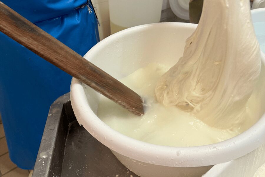 Martina Franca: Mozzarella and Pasta Workshop with Farm Tour - Rolling, shaping, and learning the pasta side