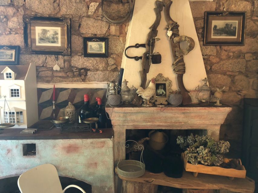 Olbia: Sardinian Pasta-Making Guided Workshop - Visiting the small winery