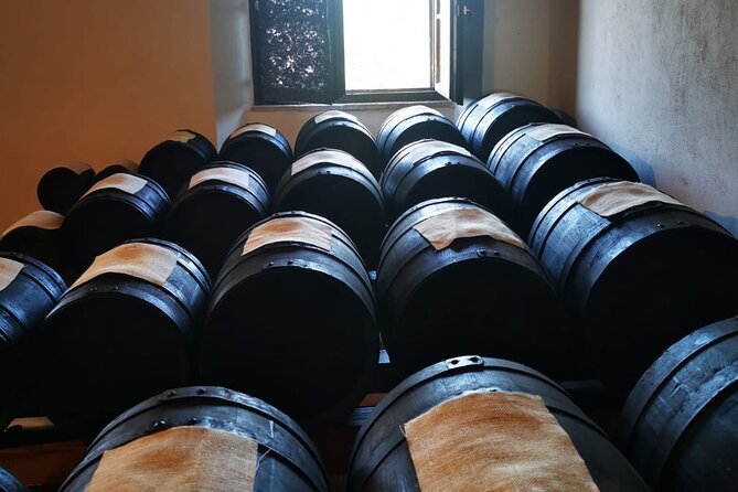 Parmigiano Reggiano, Balsamic Vinegar and fresh pasta tour - From cheese wheels to a family kitchen