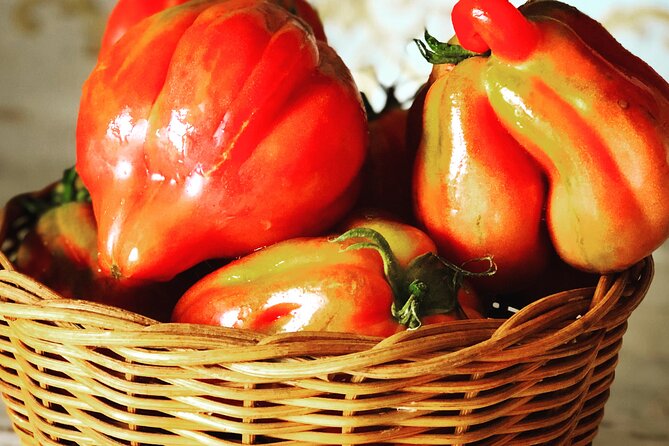 Pasta and Pizza cooking class in Cortona - Is $162.21 a fair price?