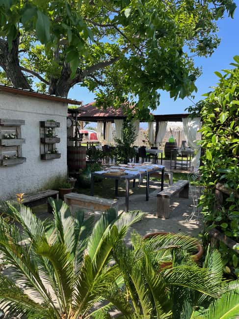 Pasta Cooking Class in a Garden near Pompeii - What you eat at the end
