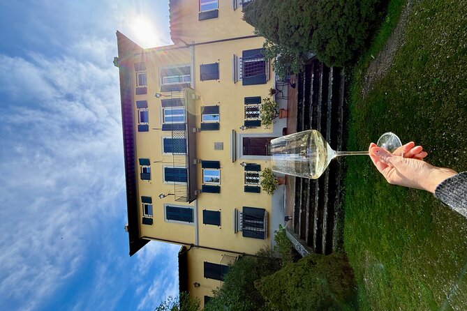Pasta, meatballs and ice cream in a villa in the hills of Florence - Meatballs with a Sicilian family connection