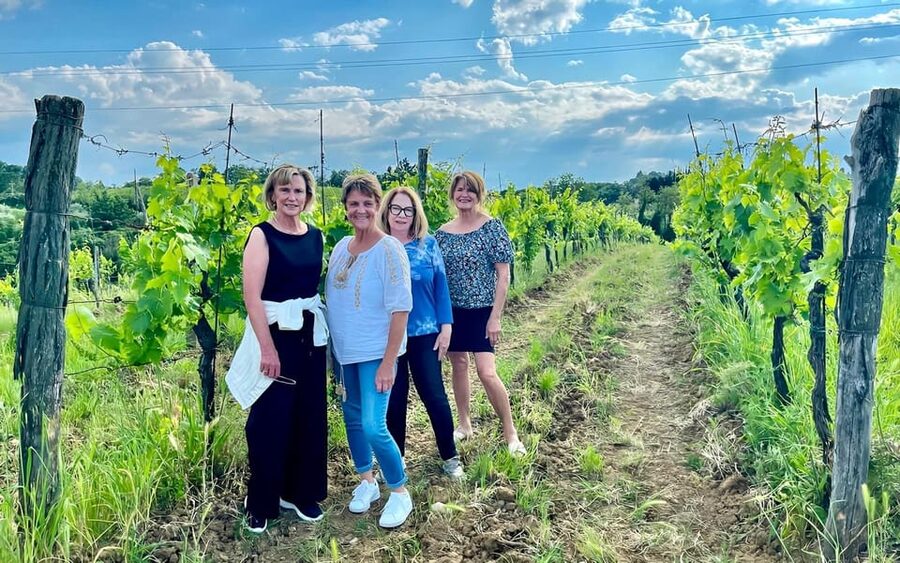 Pick Vegetables at the farm & Cook pasta - Final call: book it for the full Tuscan setting