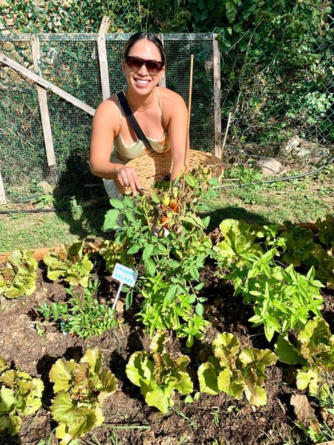 Pick Vegetables at the farm & Cook pasta - From Florence to a 1600s villa in Chianti