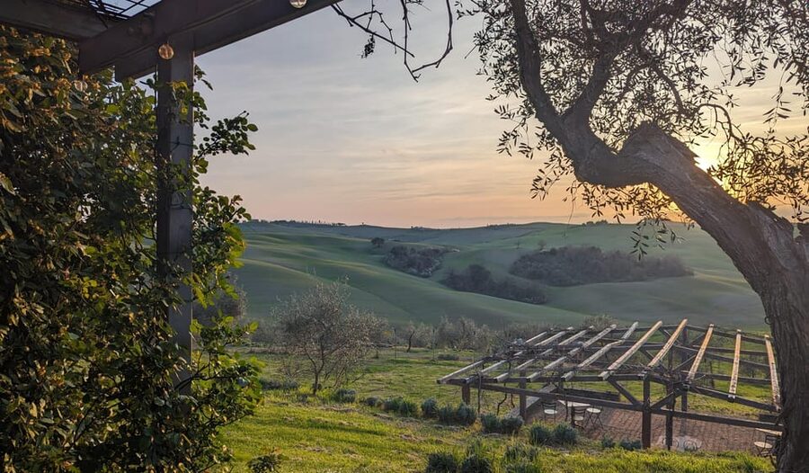 Pienza: Tuscan Cooking Class of Homemade Pastas and Cantucci - Cooking Tuscan lunch at Podere Spedalone