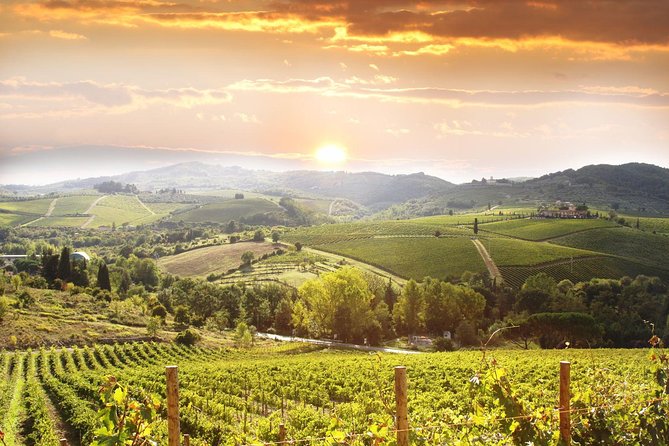 Private Pisa, Pasta and Chianti Lovers Wine Experience Livorno Shore Excursion - Terricciola Wine Country and the Optional Tuscan Lunch