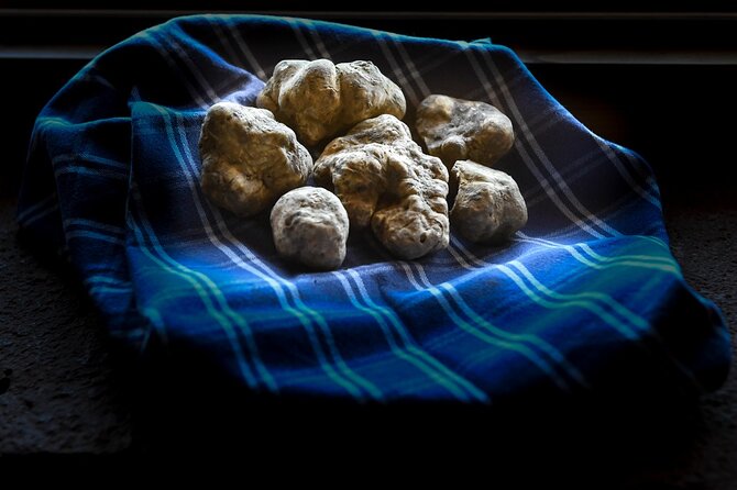 Truffle Hunting and Handmade Pasta in Ascoli Piceno - Why this truffle hunt feels different