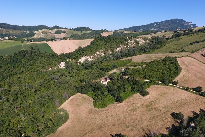 Truffle Hunting and Handmade Pasta in Ascoli Piceno - What arrives at the table