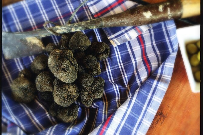 Truffle Hunting and Handmade Pasta in Ascoli Piceno - Who should book this experience
