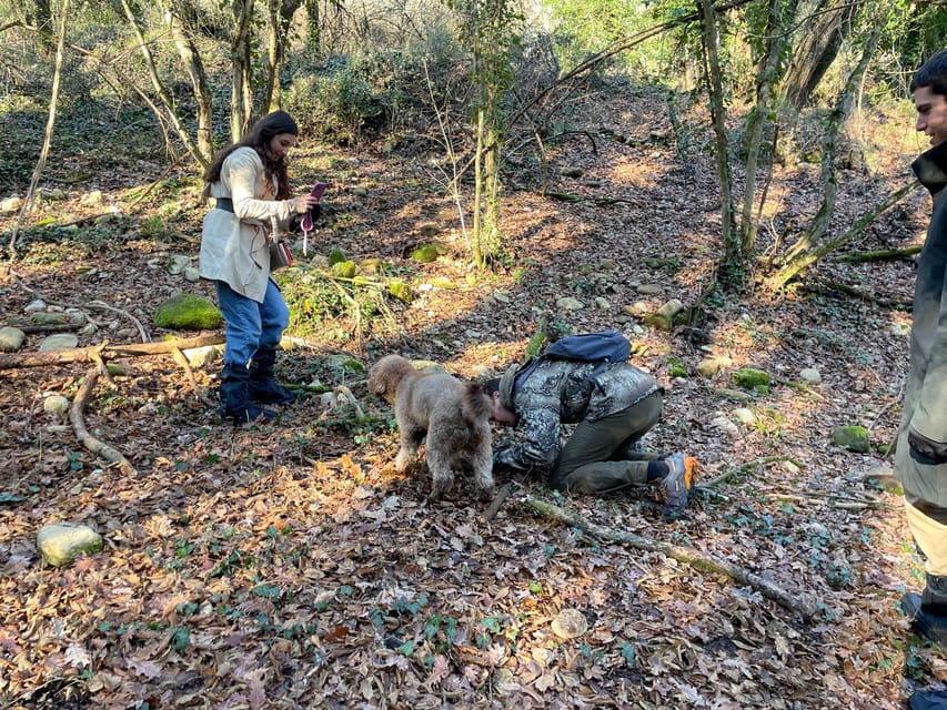 Truffle hunting in Chianti with pasta cooking class & lunch - Following Tabu into the Chianti woods