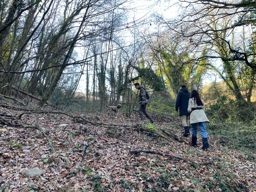 Truffle hunting in Chianti with pasta cooking class & lunch - Making tagliatelle with Fabrizio’s family