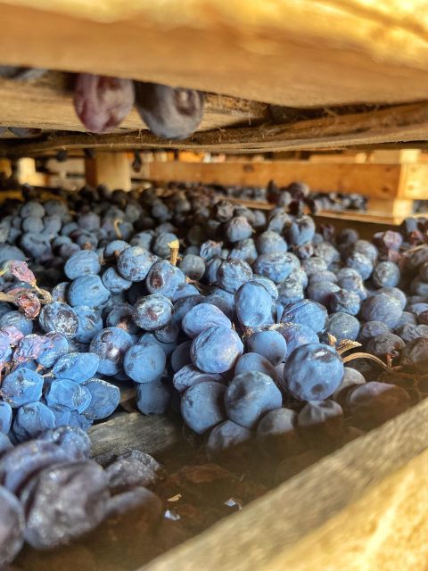 Verona: Pasta Cooking Class with Wine Tasting - The best reasons to book, and the main caution